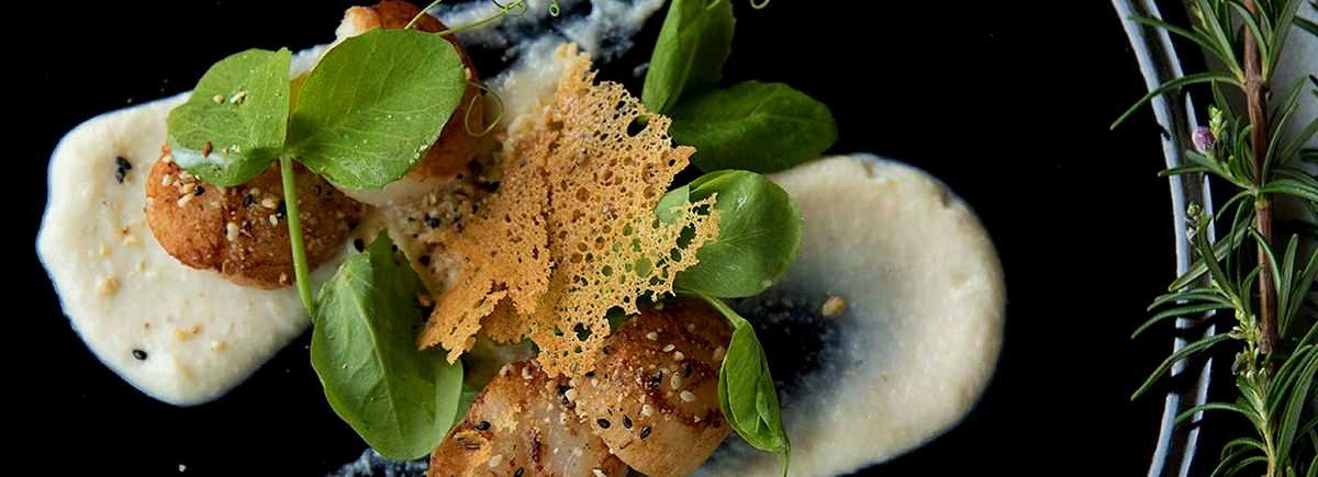 Prato gourmet elegante